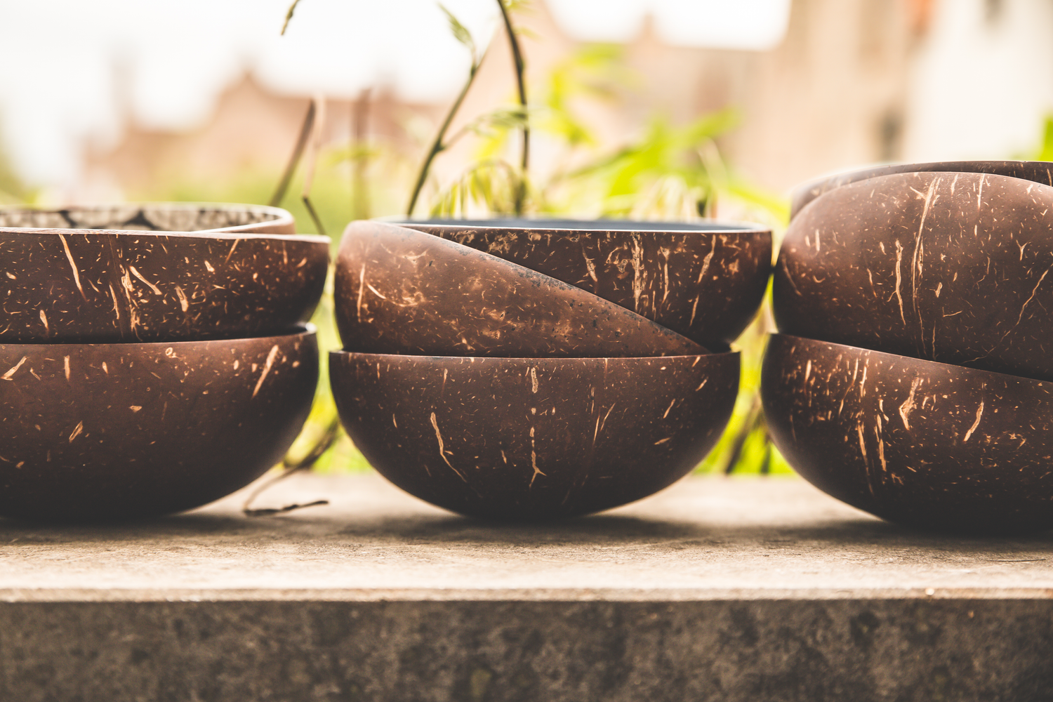 Coconut bowl sets